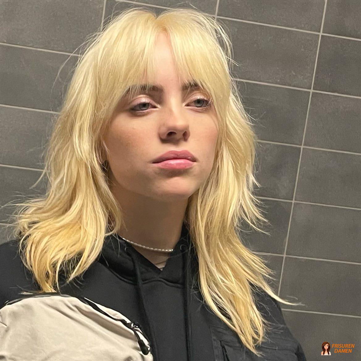 Shag Frisur mit weichen Stufen